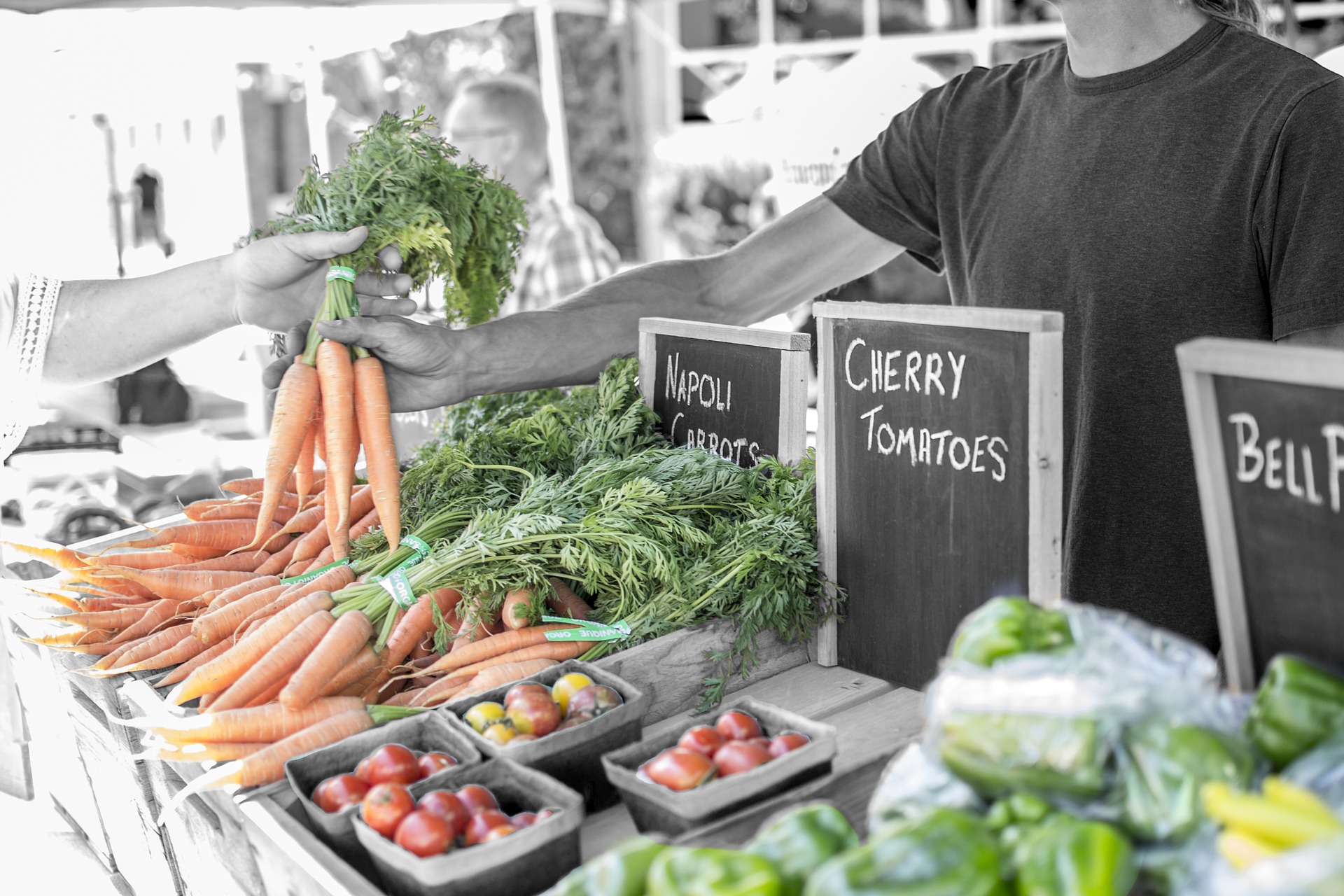 Restaurateurs : les bonnes résolutions pour réduire son empreinte carbone